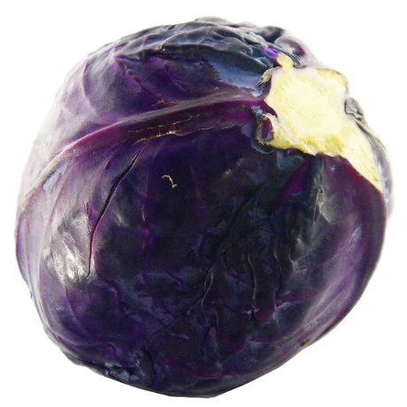 China Purple Cabbage