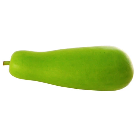 Malaysia Bottle Gourd