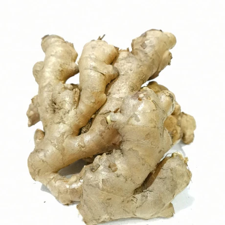 Thailand Bentong Ginger
