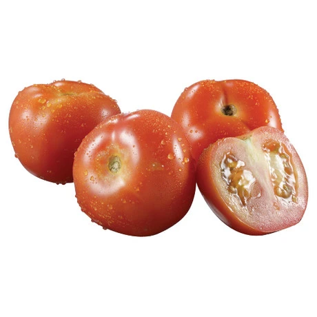 Malaysia Tomato