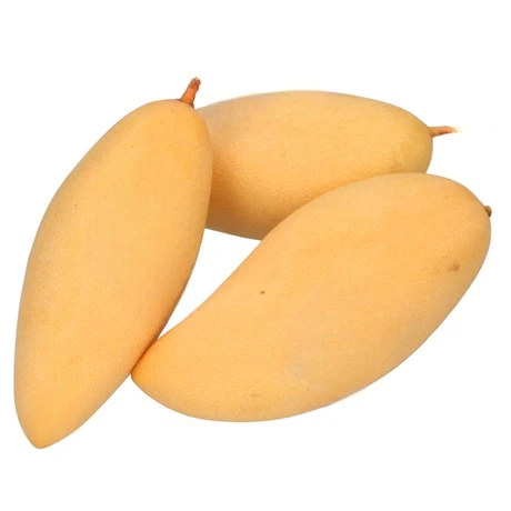 Thailand Golden Mango