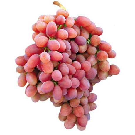 Australia Red Seedless Grapes
