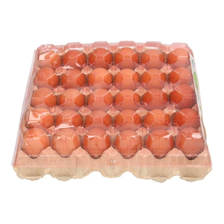 Fresh Eggs (30S)