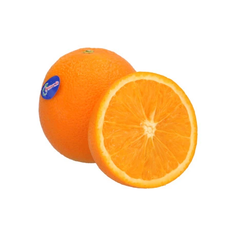 Egypt Valencia Orange