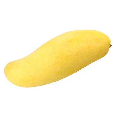 Thailand Golden Rainbow Mango
