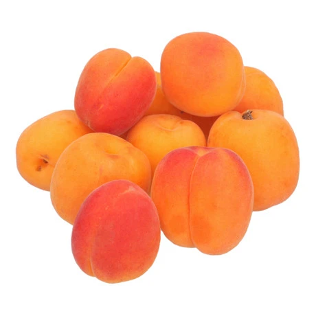 Turkey Citra Apricots
