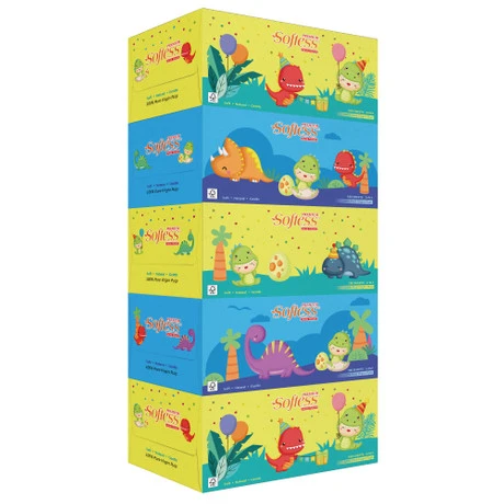 Premium 2Ply Facial Tissues