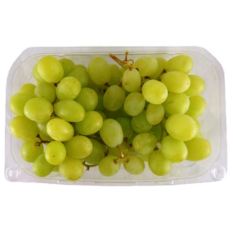 Egypt Green Seedless Grapes