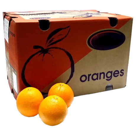 South Africa Navel / Valencia Oranges