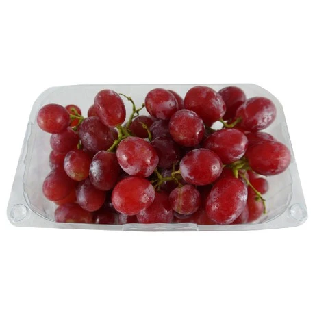 Egypt Seedless Red Grape