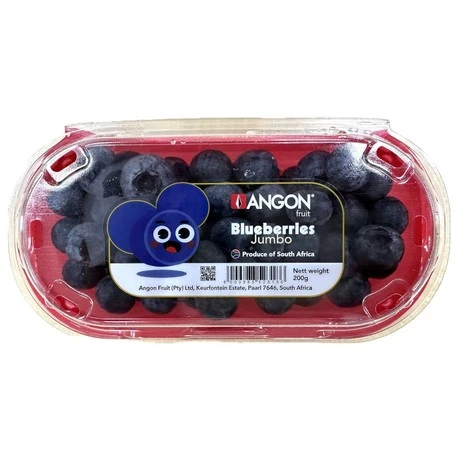South African Blueberry Jumbo