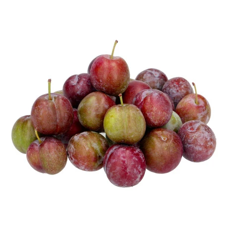 China Sugar Prunes