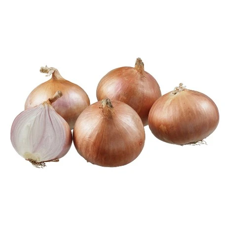 India Red Onion