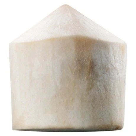 Vietnam Coconut (Diamond Cut)
