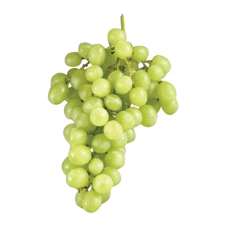 USA Green Seedless Grape
