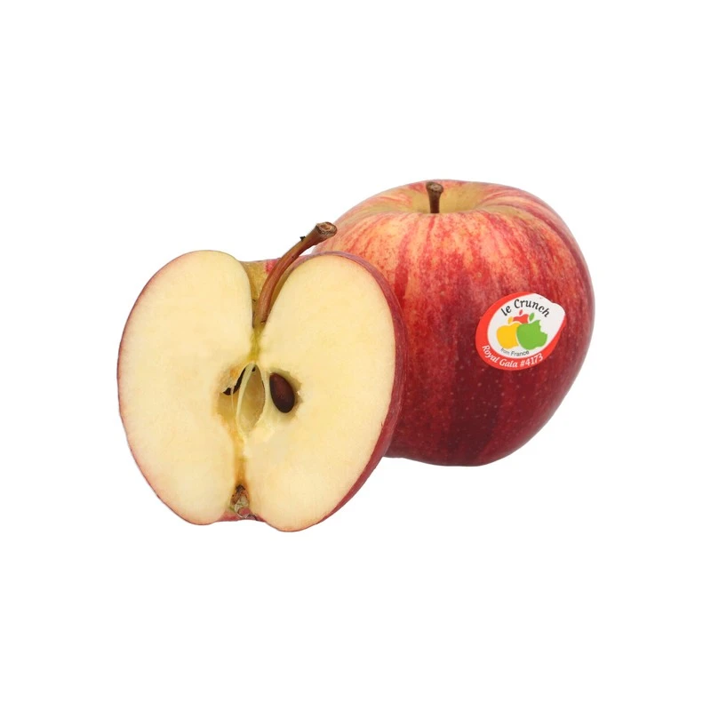 France Royal Gala Apple