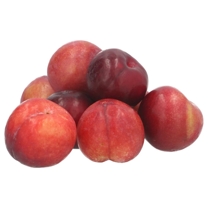 China Honey Sweet Plum