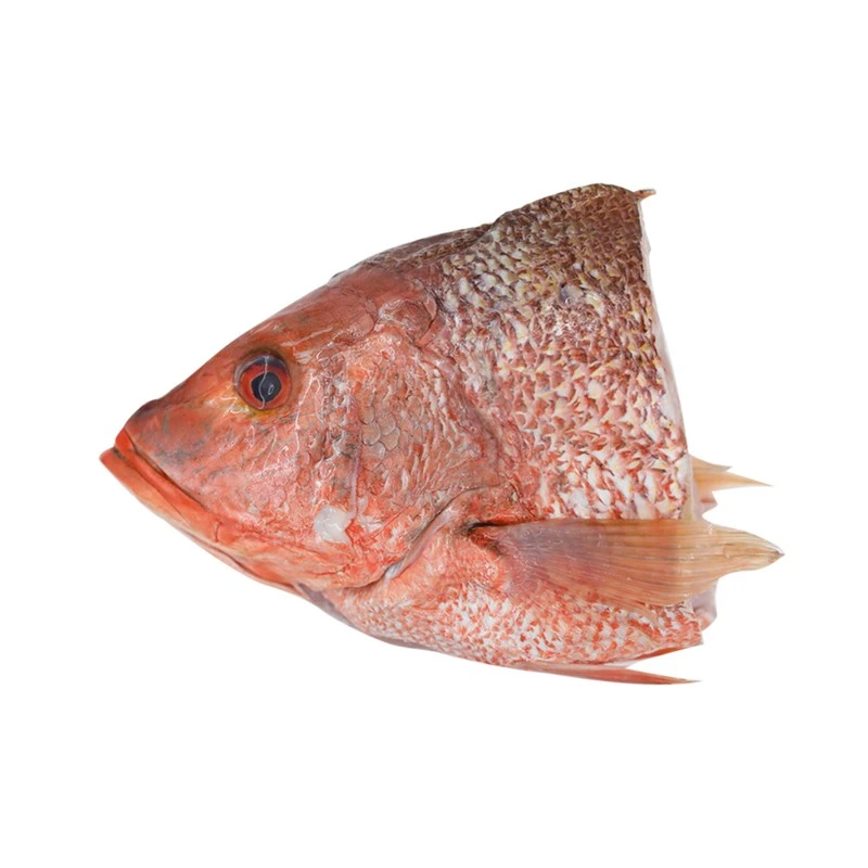 Red Snapper Head (红鸡)