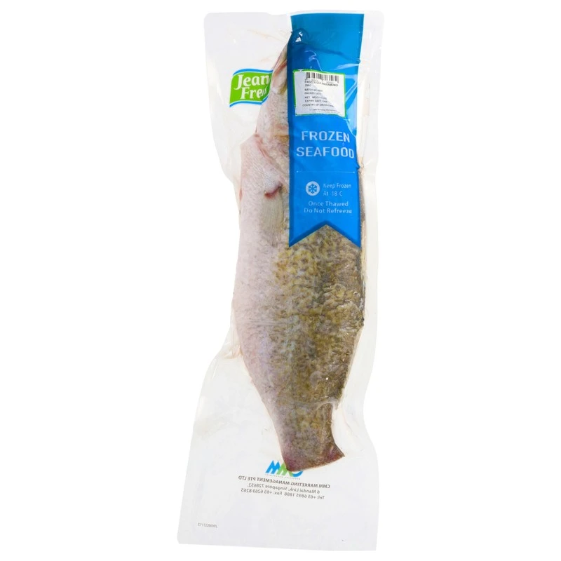 Frozen Barramundi (金目卢)