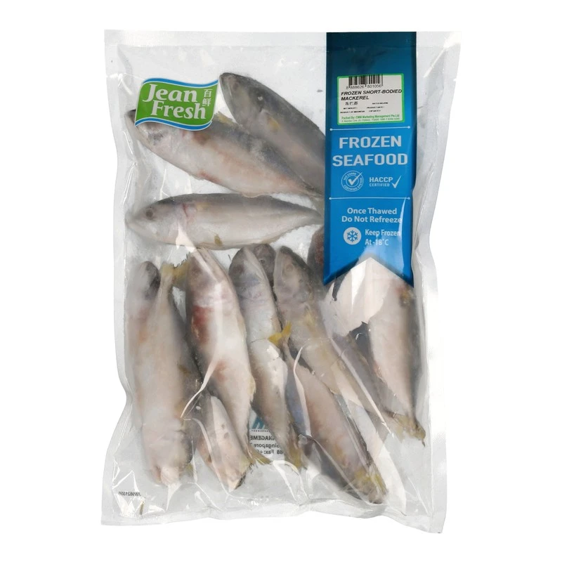 Frozen Short-Bodied Mackerel (巴都)