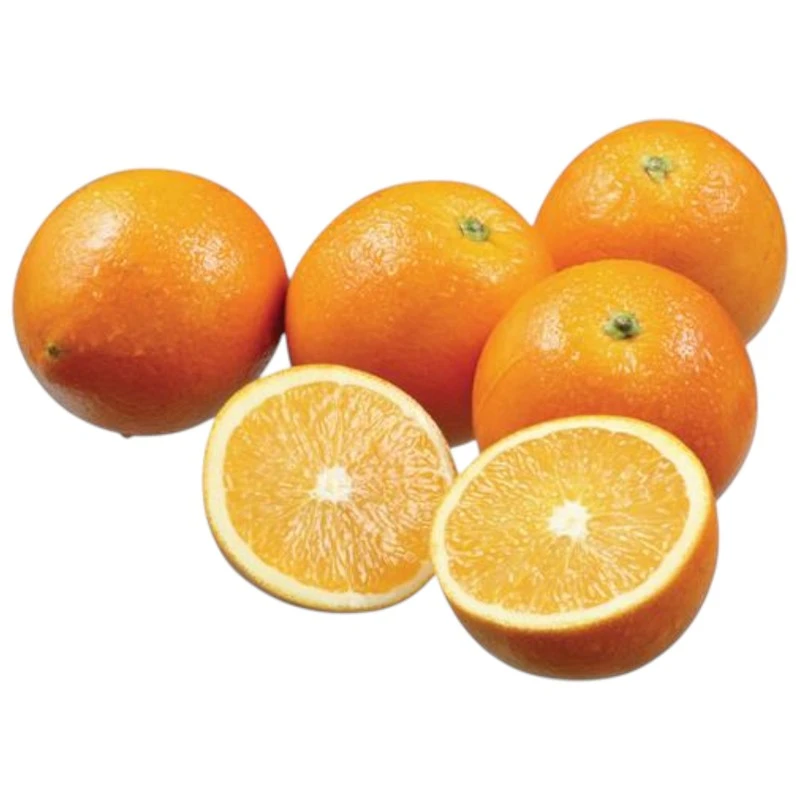 South Africa Navel Oranges